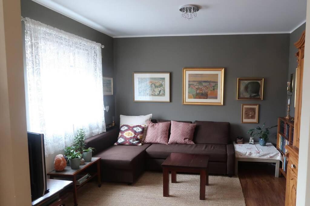 Warm And Welcoming Flat Downtown Akureyri Lejlighed Eksteriør billede